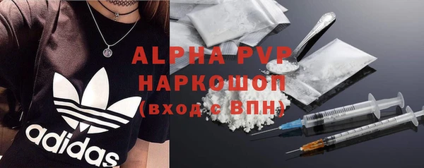 PSILOCYBIN Балабаново