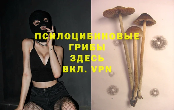 PSILOCYBIN Балабаново