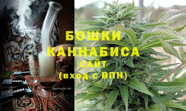 PSILOCYBIN Балабаново