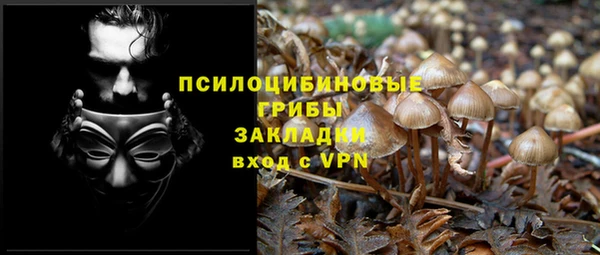 не бодяженный Балахна