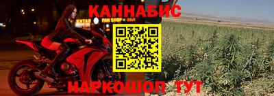 ПСИЛОЦИБИНОВЫЕ ГРИБЫ Пугачёв