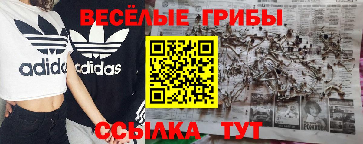 Борисоглебск  где можно купить   Псилоцибиновые грибы Psilocybe  Вход с VPN  Псилоцибиновые грибы GOLDEN TEACHER 