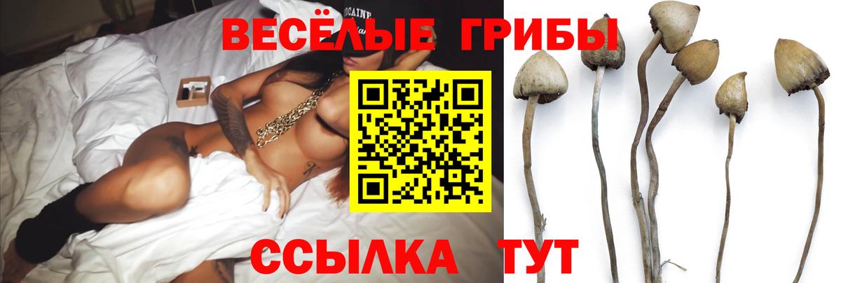 Галлюциногенные грибы GOLDEN TEACHER Борисоглебск